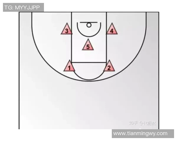 杭州排球队区域防守分析与战术调整探讨