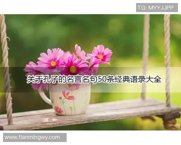 足球巨星智慧结晶：激励人心的名言与经典语录分享